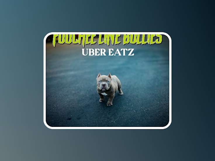 Foochee Line Bullies — Uber Eatz — Single cover artwork by Geraldine Creative Co.